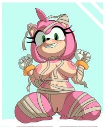 amy rose from sega by necronnus