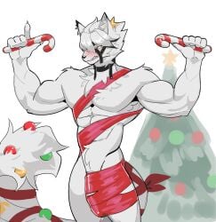 5_fingers abs anthro biceps big_penis biped blush candy candy_cane canid canine canis christmas christmas_tree dessert fingers food fur genitals hdcatmeow hi_res holding_candy holding_candy_cane holding_food holding_object holidays inner_ear_fluff male mammal mihoyo muscular muscular_anthro muscular_male pecs penis plant solo tail tree tuft von_lycaon white_body white_fur wolf zenless_zone_zero