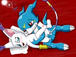 digimon gatomon sveemon tagme veemon