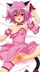 1girls animal_ears anus asking_for_it blush cat_ears cat_tail choker dress female horny humanoid ichigo_momomiya looking_at_viewer magical_girl nipples no_panties panties pussy short_hair small_breasts solo spread_legs tail tokyo_mew_mew tongue tongue_out uncensored wet wet_pussy