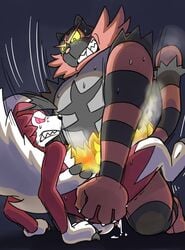 1boy ambiguous_gender big_hands black_fur canine claws clenched_teeth duo fangs feline fire furry glowing_eyes green_eyes half-closed_eyes hip_grab incineroar interspecies kneeling leopon lycanroc male male_only mammal midnight_lycanroc missionary_position motion_lines nintendo on_top paws penetration pink_eyes pink_sclera pokémon_(species) pokemon pokemon_sm red_fur sex size_difference sweat teeth trembling video_games white_fur yellow_sclera