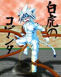 Kogenta Rule 34 Image