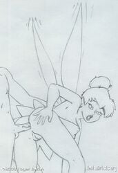 1boy 1girls anal anal_sex anus ass ass_grab bottomless disney disney_fairies doggy_style dress erect_nipples fairy leg_up line_art looking_back monochrome penis peter_pan_(disney) pussy roger_bacon sketch tinker_bell veins veiny_penis wings