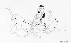 101_dalmatians anus canine disney dog female feral fur male mammal monochrome perdita pongo pussy straight tagme tom_canis