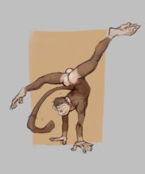 1boy 2021 5_fingers anthro ass balls brown_body brown_fur brown_hair fingers fur genitals hair handstand haplorhine hi_res long_tail male male_only mammal monkey monkey_boy monkey_feet nude prehensile_feet primate smile solo spread_legs spreading vulgarstarling