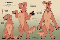 animal_genitalia anthro balls bird_dog canid canine canis collar color_swatch domestic_dog english_text feral genitals golden_retriever hunting_dog male mammal model_sheet one_eye_closed paws pronouns retriever sheath solo teebsly text