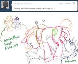 applejack_(mlp) big_macintosh big_macintosh_(mlp) friendship_is_magic maim my_little_pony shining_armor shining_armor_(mlp) twilight_sparkle_(mlp)