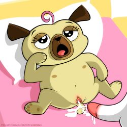 after_sex canine chip_and_potato chip_pug cum cum_in_pussy cum_inside female orgasm penis pug