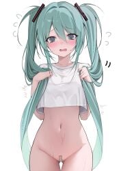 @_@ aqua_eyes aqua_hair bandaid_on_pussy blush breasts crop_top crop_top_overhang cropped_shirt cut-here_line dotted_line embarrassed female flying_sweatdrops hair_between_eyes hatsune_miku highres holding holding_own_hair ixopod like_and_retweet long_hair navel no_panties open_mouth shirt short_sleeves simple_background small_breasts solo sweat twintails twitter_cutting_game twitter_strip_game twitter_strip_game_parody very_long_hair vocaloid white_background white_shirt