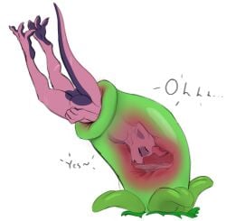 anthro ass countershading dez_emberscale(dat_otter) female flesh_tunnel half-closed_eyes head_first horn internal kobold legs_up looking_pleasured narrowed_eyes pink_body plant plant_vore purple_body purple_countershading scalie skales swallowed_whole swallowing tail thick_tail vore willing_prey