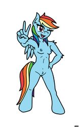 friendship_is_magic my_little_pony niggabuysomeapples rainbow_dash_(mlp) smooth_skin tagme