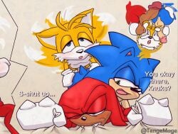 knuckles the echidna from sega by tenge mage