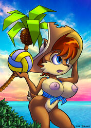 2013 ball beach big_breasts blue_eyes breasts chipmunk erect_nipples female hat navel nipples nude open_mouth pussy sally_acorn seaside sega solo sonic_(series) thebrave tree volleyball water