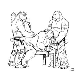 2013 anal anal_sex balls bear big_muscles black_and_white bondage bound cbh claws clothing fellatio gay group lying male monochrome muscles no_humans nude on_side oral oral_sex pants pants_down penetration penis polar_bear rufus_silverclaw sex table taranis threesome