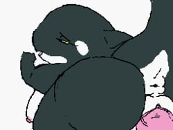 animated anus ass blush breasts cetacean female loop male marine orca penetration pussy shamelesss straight vaginal_penetration vulva