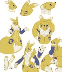 absurd_res ahe_gao anthro anus apron bandai_namco canid canine clothing digimon digimon_(species) female finger_in_mouth hi_res knife looking_pleasured mammal model_sheet nowu renamon solo spread_anus spreading