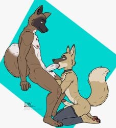 anthro balls beastars bodily_fluids canid canine clothing collar delta_dewitt digital_media_(artwork) duo durham_(beastars) fur genital_fluids genitals hi_res legwear male male/male mammal muscular nipples nude oral oral_penetration penetration penis simple_background tail thigh_highs tongue