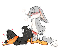 <3_eyes after_sex all_fours anthro ass ass_up avian balls bird blush breath buckteeth bugs_bunny clothing cum cum_on_ass daffy_duck duck duo erection feathers fur gloves half-closed_eyes heart kneeling lagomorph looney_tunes male male_only mammal nude penis rabbit simple_background soft_feathers tears teeth warner_brothers whiskers yaoi zehn