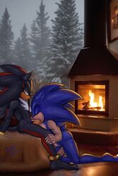 shadow the hedgehog from sonic (series)