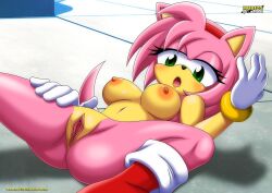 amy rose from sega by bbmbbf