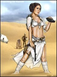 1girls 2006 a_new_hope astromech_droid blaster breasts brown_eyes brown_hair c-3po cleavage defender_sporting_blaster_pistol desert droid erect_nipples female navel photo_background princess_leia_organa protocol_droid r2-d2 ripped_clothing shabby_blue small_breasts star_wars sweat tatooine torn_clothes torn_clothing