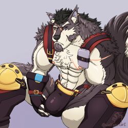 abs anthro biceps bulge canid canine canis fur furry gyee male male_nipples male_only mammal morgan_(gyee) muscular_anthro muscular_male nipples pecs werecanid werecanine wolf wolfshirtart