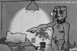 anthro bedroom canid canine canis collar collar_only domestic_dog drugs female gynomorph hairy intersex mammal marijuana neo_noir nude onyx_raucher pit_bull rubyyoulazycat smoking solo stubble text trans_(lore) trans_woman_(lore)