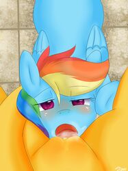 2013 2girls aosion applejack_(mlp) blush cunnilingus duo equine female female_pov feral friendship_is_magic furry hair half-closed_eyes horse licking multicolored_hair multiple_girls my_little_pony oral oral_sex pegasus pony pov purple_eyes pussy_juice rainbow_dash_(mlp) rainbow_hair sex tongue wings yuri