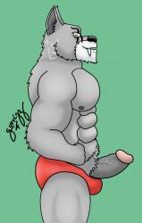 abs balls_in_speedo big_boner big_penis chima fangs fangs_out fur furry furry_only gorrizz green_background grey_fur impressed legends_of_chima pecs pink_glans red_speedo speedo speedo_butt tasty_dick worriz worriz_(chima)