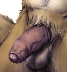 2013 anakuro balls brown_fur dripping flaccid male male_only mustelid nude otter penis plain_background precum presenting sketch solo uncut vein white_background