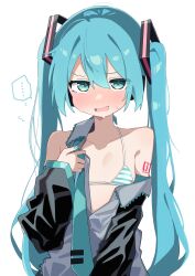 hatsune miku from vocaloid by dj maud0210