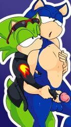 2boys gay handjob male male/male male_only penis scourge_the_hedgehog sonic_(series) sonic_the_hedgehog sonic_the_hedgehog_(series) tinydevilhorns yaoi