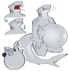 air_inflation ballon_belly belly breathing bubble expansion furry grey_body humanoid inflation mammal_humanoid round_belly shark sharp_teeth tagme wwsnke99