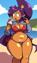 1girls belly belly_button bikini breasts chubby chubby_female cleavage female female_only nobodydusk shantae shantae_(character) solo thick_thighs