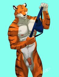 2015 anthro areola athletic athletic_anthro athletic_male balls biped black_nose black_stripes blue_clothing blue_jockstrap blue_underwear boulevard cheek_tuft closed_eyes clothing countershade_fur countershade_torso countershading cyan_background facial_tuft felid flaccid front_view fur genitals glans holding_clothing holding_jockstrap holding_object holding_underwear humanoid_genitalia humanoid_penis jockstrap male mammal navel nude nude_anthro nude_male orange_body orange_fur pantherine pecs penis pink_areola pink_glans pink_penis portrait signature simple_background smile solo standing striped_body striped_fur stripes three-quarter_portrait tiger tuft underwear white_balls white_body white_fur