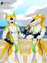 2boys 2furrys anthro beach furry gay gays green_mankini green_thong happy looking_at_another male males_only mankini orange_fur orange_skin smile thong