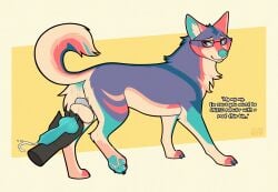 absurd_res animal_genitalia animal_penis ball_stretcher bodily_fluids browniesnsfw canid canine canine_genitalia canine_penis canis coyote cum dialogue ejaculation eyewear feral genital_fluids genitals glasses handjob hi_res knot knotted_penis mammal nonbinary_(lore) pawpads penile penis raised_leg sassafras_(xmokomokox) sex solo