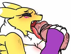 animated badassbaal bandai_namco blue_eyes blush breasts digimon digimon_(species) disembodied_penis duo fellatio female foreskin fur furry furry_only handjob humanoid_penis looking_up loop male open_mouth oral penis penis_on_tongue renamon retracted_foreskin sex straight tongue tongue_out uncut