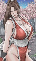 mai shiranui from fatal fury by kamegallery