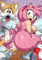 amy rose from sega by oni (artist)