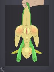 2d_animation 3:4 angry animated anthro anus ass belly big_belly big_butt big_tail bodily_fluids butt clitoris cross-popping_vein dengon disembodied_hand dripping faceless_anthro faceless_character faceless_female faceless_human faceless_male female feral floating_hands foreplay frame_by_frame generation_5_pokemon genital_fluids genitals hi_res human lifted lifted_by_tail male mammal nintendo plump_labia pokemon pokemon_(species) puffy puffy_anus simple_background snivy solo tail thick_tail thick_thighs upside-down upside_down urethra vaginal_fluid_drip vaginal_fluid_string vaginal_fluids vaginal_fluids_on_vulva vulva