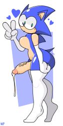floofy sonic (nocklepie) from sega by nocklepie