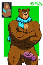 annoyed anthro balls bear biceps big_penis brown_bear brown_body brown_fur crossed_arms duolingo erection falstaff_(duolingo) frown fur genitals grumpy habuwolfdog love_handles male mammal mostly_nude musclegut muscular muscular_anthro muscular_arms muscular_male penis purple_penis scarf scarf_only sitting slightly_chubby solo standing ursine vein veiny_penis