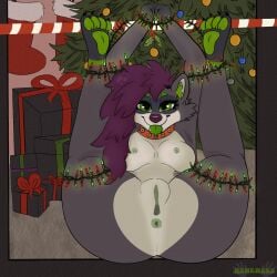 1:1 animated anthro anus bondage bondage bound bow_ribbon box breasts christmas christmas_decorations christmas_lights clitoris container female fluffy fur genitals gift gift_box green_anus green_eyes green_nipples green_pussy grey_body grey_fur hair hawkward_(artist) hi_res holidays inviting legs_up looking_at_viewer mammal nipples nude procyonid purple_hair pussy raccoon seductive short_playtime solo submissive submissive_anthro submissive_female tongue tongue_out