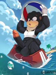 1girls male oc original_character shumpy solo solo_male sonic_(series) sonic_the_hedgehog_(series) tagme