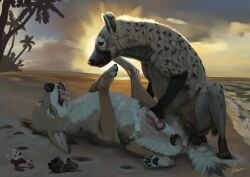 absurd_res beach canid canine canis coyote duo feral fokker_(artist) hi_res hyena male male/male mammal palm_tree plant sea sunset tree water