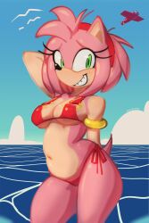 1girls airplane amy_rose anthro awkward_smile beach bikini bikini_bottom bikini_only bikini_top curvaceous curves curvy curvy_body curvy_female curvy_figure curvy_hips faygyo female female_only furry furry_female furry_only green_eyes hand_behind_head hips looking_to_the_side pink_body pink_fur pink_skin red_bikini red_bikini_bottom red_bikini_top short_tail smile smiling solo solo_female sonic_(series) sonic_the_hedgehog_(series) tail water