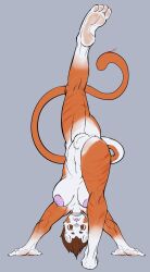 animal_humanoid anthro arthropod athletic blattodean breasts cat_humanoid cockroach feet felid felid_humanoid feline feline_humanoid female fur genitals hi_res humanoid insects mammal mammal_humanoid nipples orange_body orange_fur paws simpleesteban solo tail tongue vulva