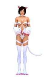 3d cosplay darkstalkers dukenukemnever felicia_(darkstalkers)_(cosplay) female kazama_asuka small_breasts solo tekken