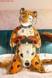 blue_eyes cheetah collar felid feline hi_res latex looking_at_viewer male mammal null_bulge orange_body pool_toy r3drunner smile solo spots